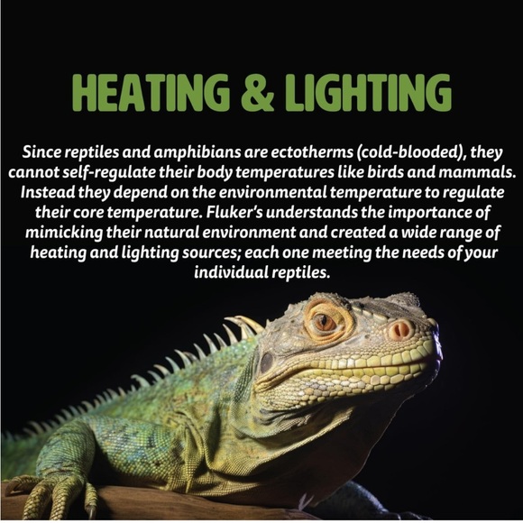 Fluker's Sun Dome Reptile Lamp - Deep Dome Flush Mount Light Fixture, - Picture 5 of 5